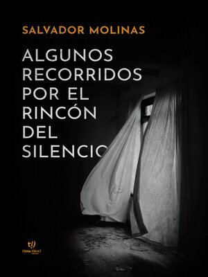 cover image of Algunos recorridos por el rincón del silencio